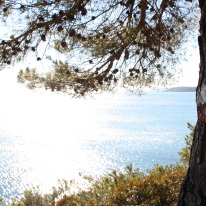 �lbum: Desde L&rsquo;Ametlla hasta L&rsquo;Ampolla por el GR-92