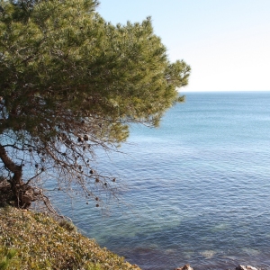 lbum: Des de l’Ametlla fins l’Ampolla pel GR-92