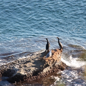lbum: Des de l’Ametlla fins l’Ampolla pel GR-92