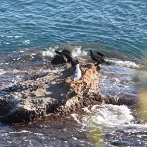 �lbum: Desde L&rsquo;Ametlla hasta L&rsquo;Ampolla por el GR-92