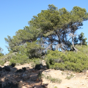 �lbum: Desde L&rsquo;Ametlla hasta L&rsquo;Ampolla por el GR-92