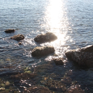 lbum: Des de l’Ametlla fins l’Ampolla pel GR-92