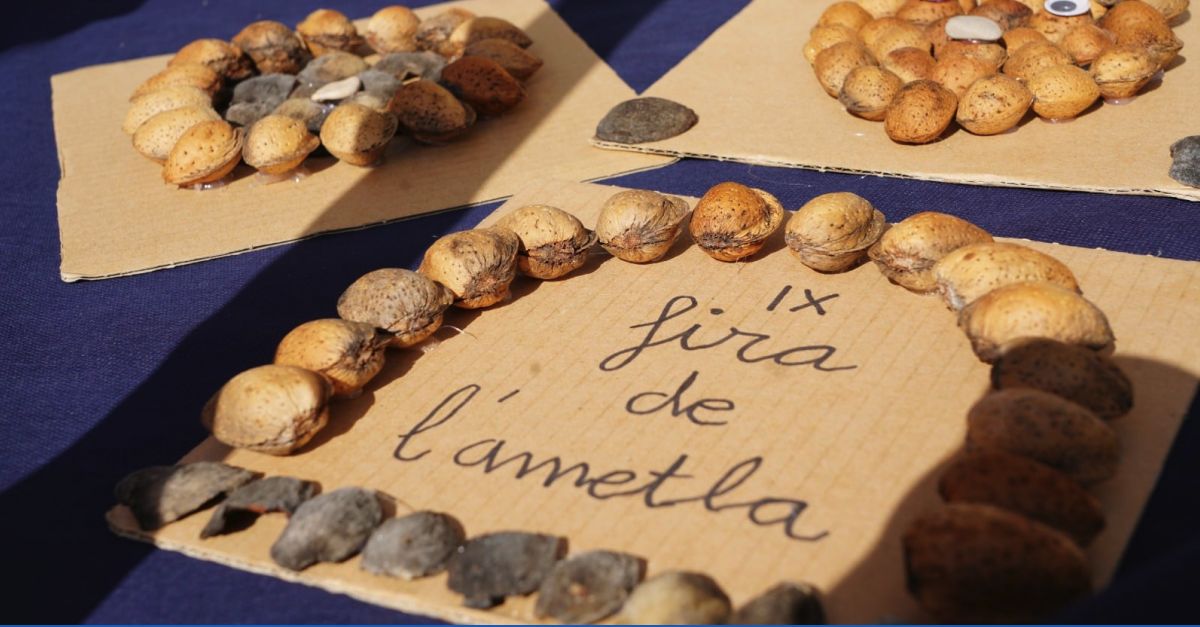 Avellanas y almendras, tesoros escondidos del territorio Human Land | EbreActiu.cat, revista digital de ocio activo | Terres de l’Ebre...