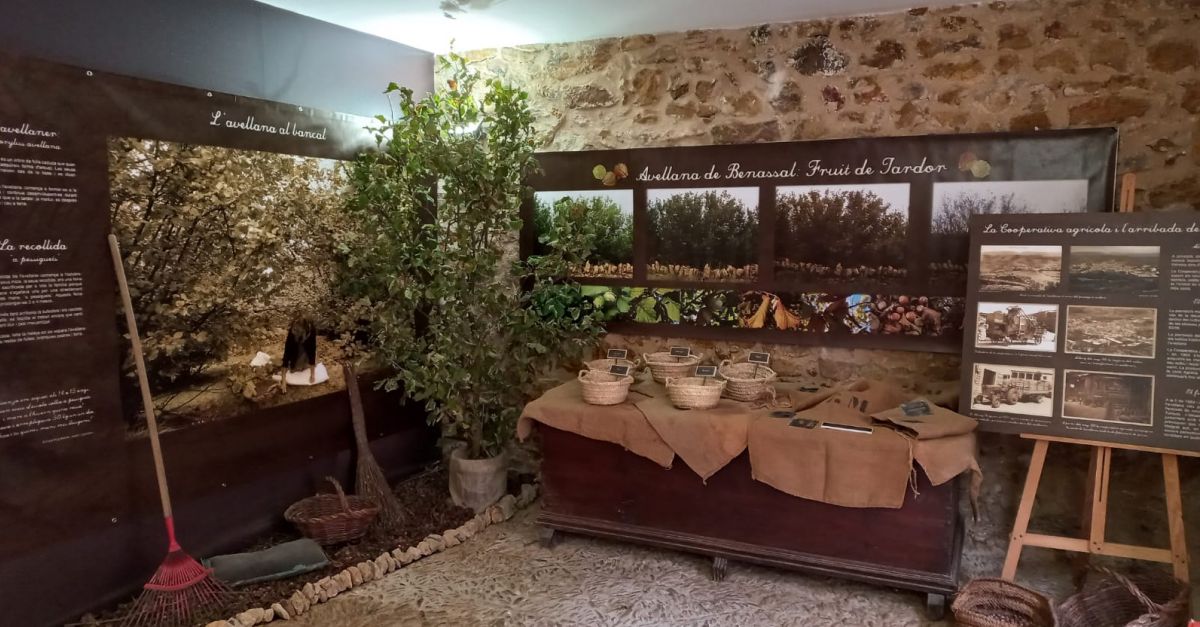 Avellanas y almendras, tesoros escondidos del territorio Human Land | EbreActiu.cat, revista digital de ocio activo | Terres de l&rsquo;Ebre...