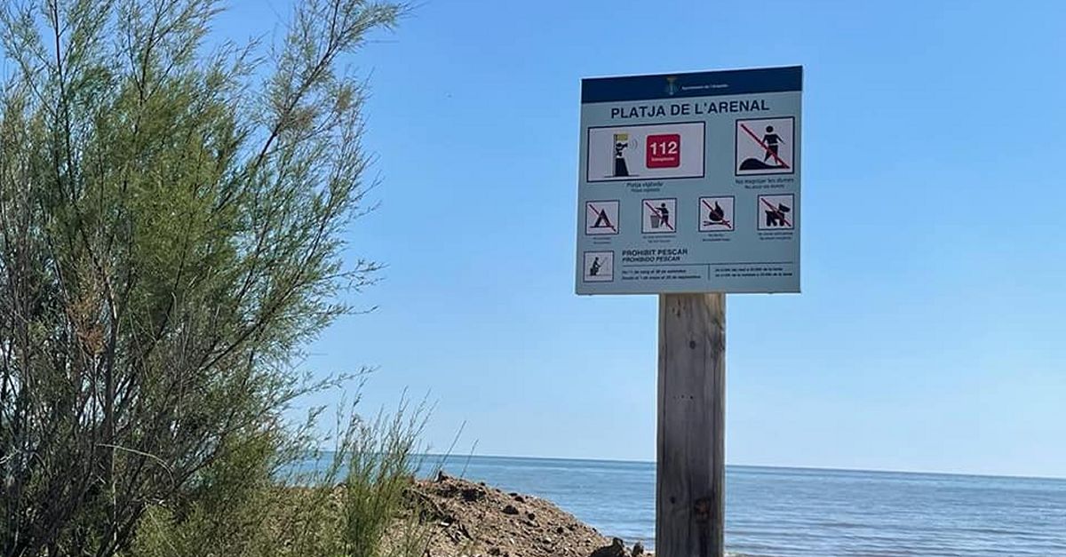 LAmpolla actualitza la cartelleria de les seues platges