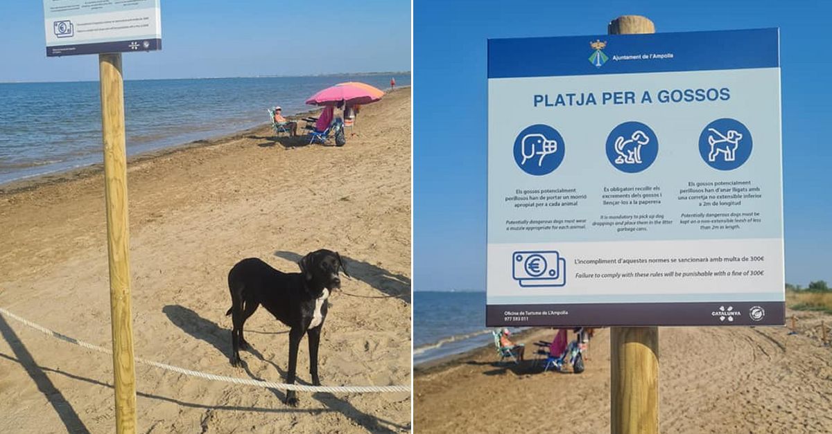 LAmpolla habilita per primer com un tram de platja per gossos a la platja de lArenal
