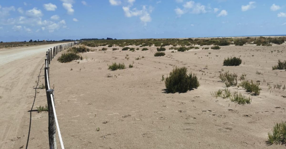 Amposta implanta un model de neteja ms sostenible a la platja dels Eucaliptus