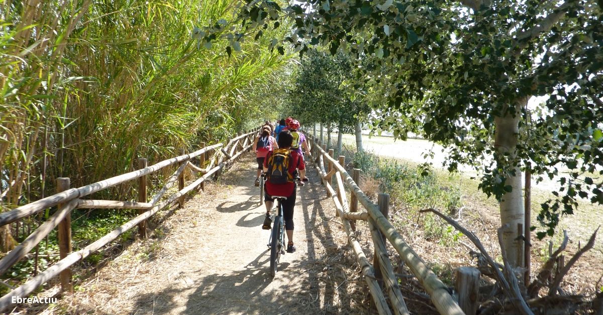 Amposta rep el segell de Cicloturisme i promociona la bicicleta com a part fonamental de l’experincia turstica | EbreActiu.cat, revista digital d’oci actiu | Terres de l’Ebre ...