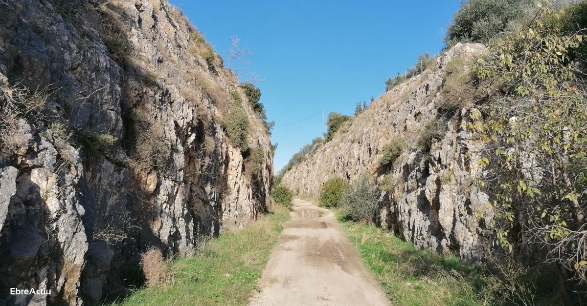 Amposta constitueix la comissi de seguiment del Projecte Val de Zafn