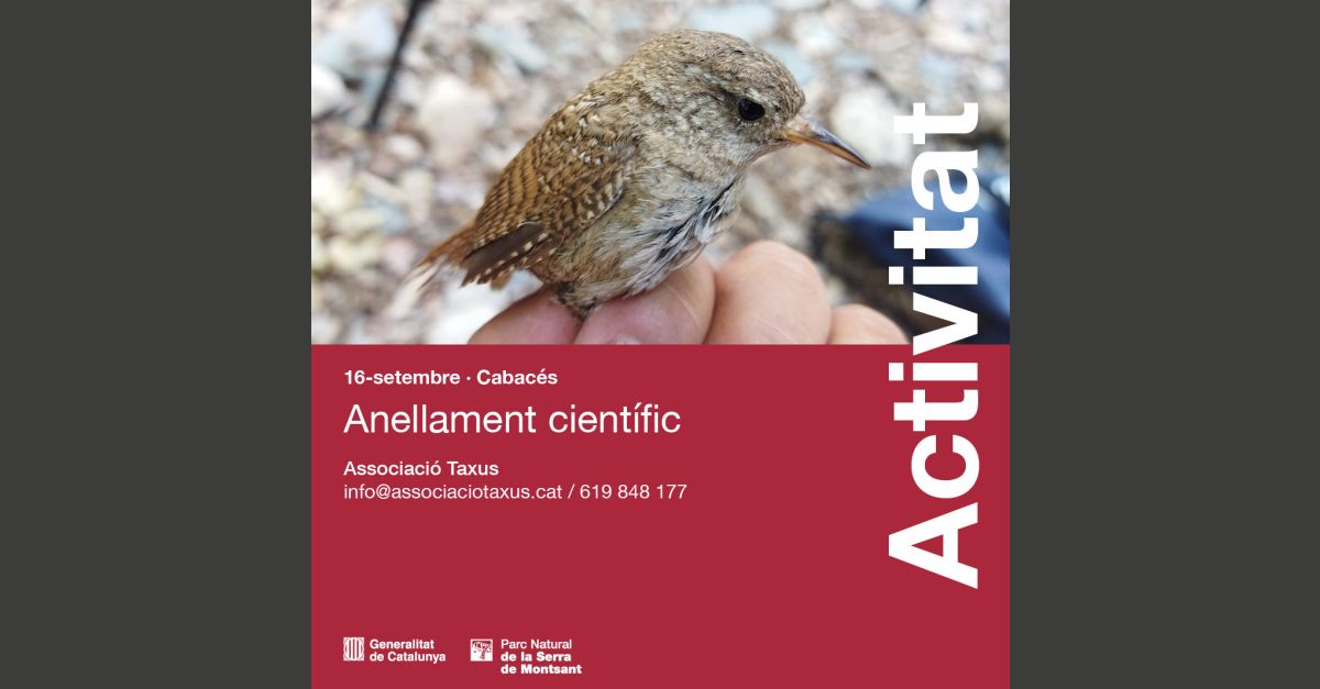 Anellament cient�fic