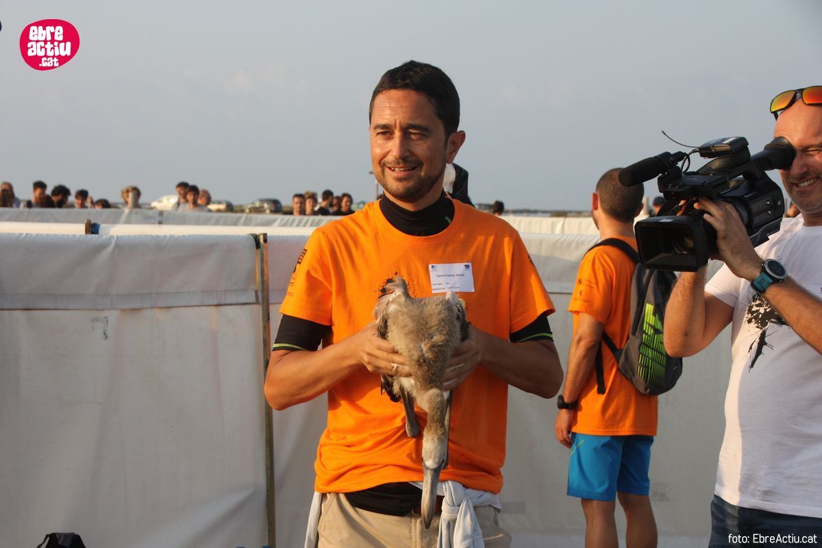 Realitzada per onzena vegada l&rsquo;anellament de flamencs al delta de l&rsquo;Ebre | EbreActiu.cat, revista digital d&rsquo;oci actiu | Terres de l&rsquo;Ebre ...