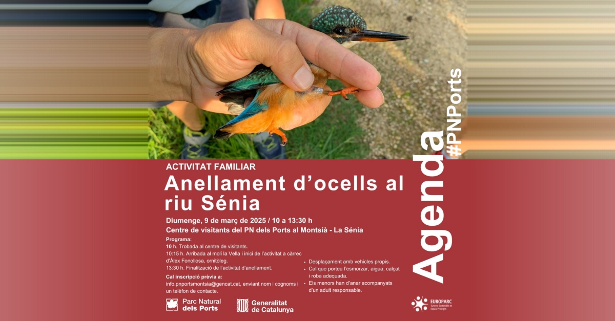 Anellament d�ocells al riu S�nia