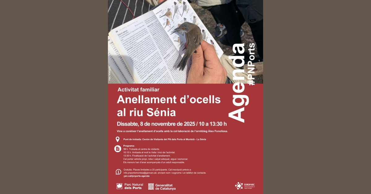 Anellament d�ocells al riu S�nia