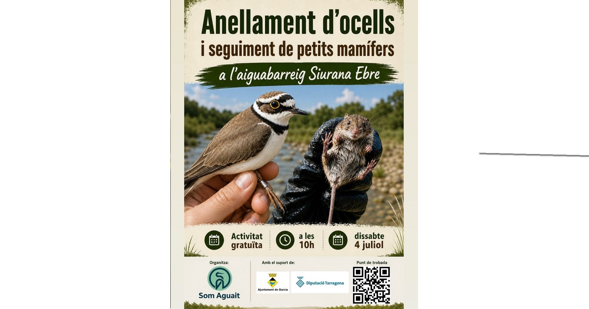 Anillamiento de aves y seguimiento de peque�os mam�feros en el aiguabarreig Siurana Ebre
