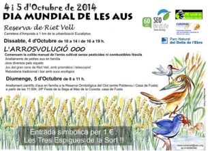 Observaci� i anellament d&rsquo;aus a la Reserva de Riet Vell