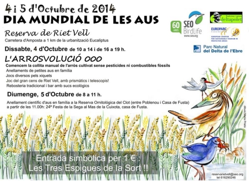 Observaci� i anellament d&rsquo;aus a la Reserva de Riet Vell