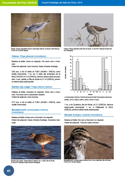 Es publica el primer Anuari Ornitol�gic del delta | EbreActiu.cat, revista digital d&rsquo;oci actiu | Terres de l&rsquo;Ebre ...