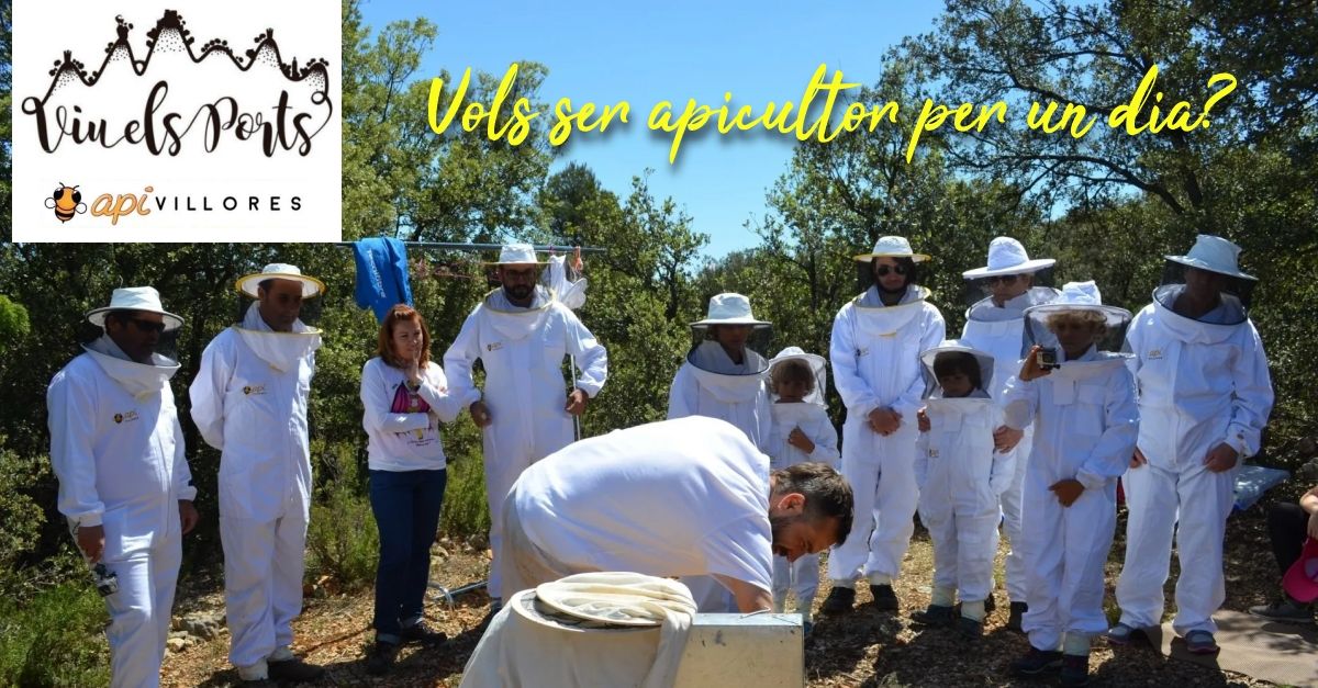 �Te gustar�a ser apicultor por un d�a?