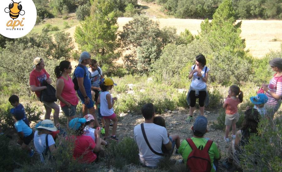 Apivillores | EbreActiu.cat, revista digital de ocio activo | Terres de l’Ebre... Apivillores | EbreActiu.cat, revista digital de ocio activo | Terres de l’Ebre...