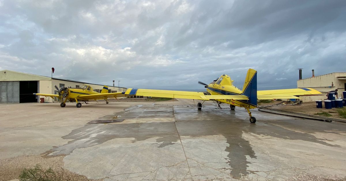 El COPATE aconsegueix, per tercera campanya consecutiva, iniciar els tractaments contra la mosca negra a principis d’any | EbreActiu.cat, revista digital d’oci actiu | Terres de l’Ebre ... El COPATE aconsegueix, per tercera campanya consecutiva, iniciar els tractaments contra la mosca negra a principis d’any | EbreActiu.cat, revista digital d’oci actiu | Terres de l’Ebre ...