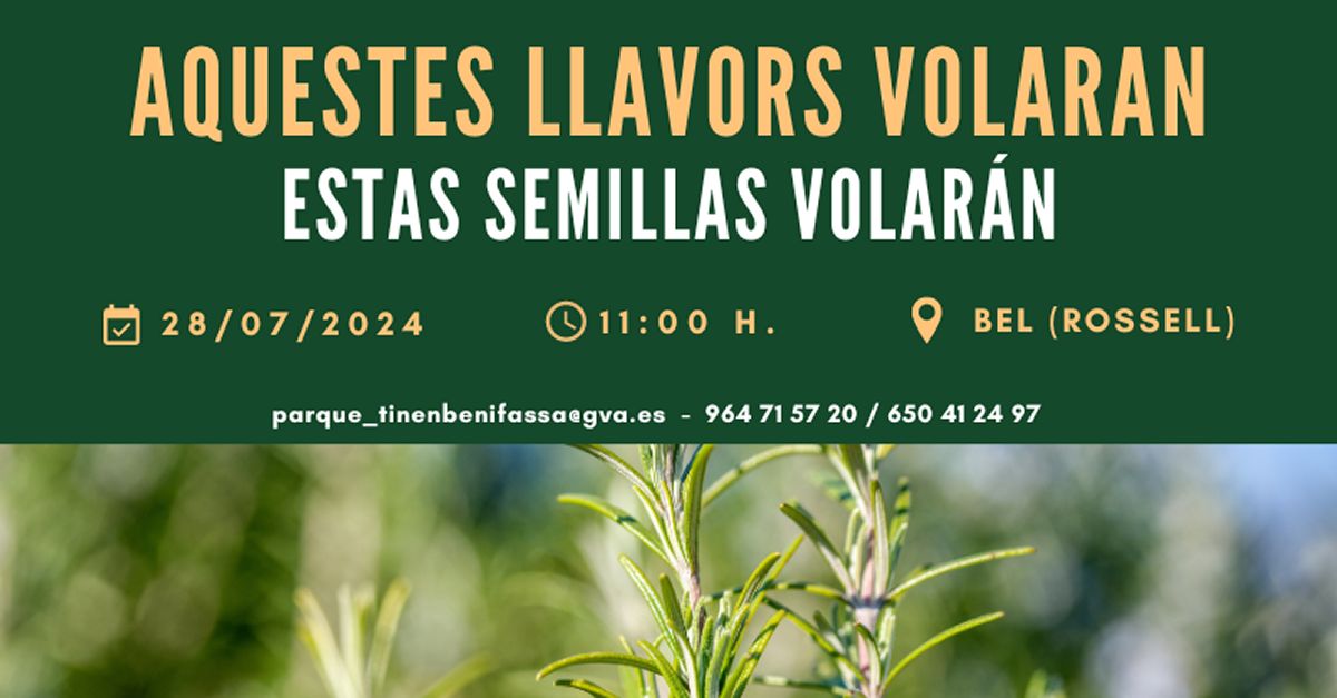 Ruta interpretativa y taller: �Estas semillas volaran�