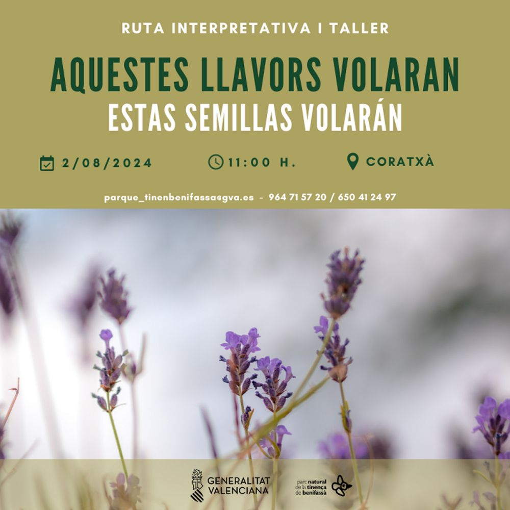 Ruta interpretativa i taller: «Aquestes llavors volaran» Ruta interpretativa i taller: «Aquestes llavors volaran»