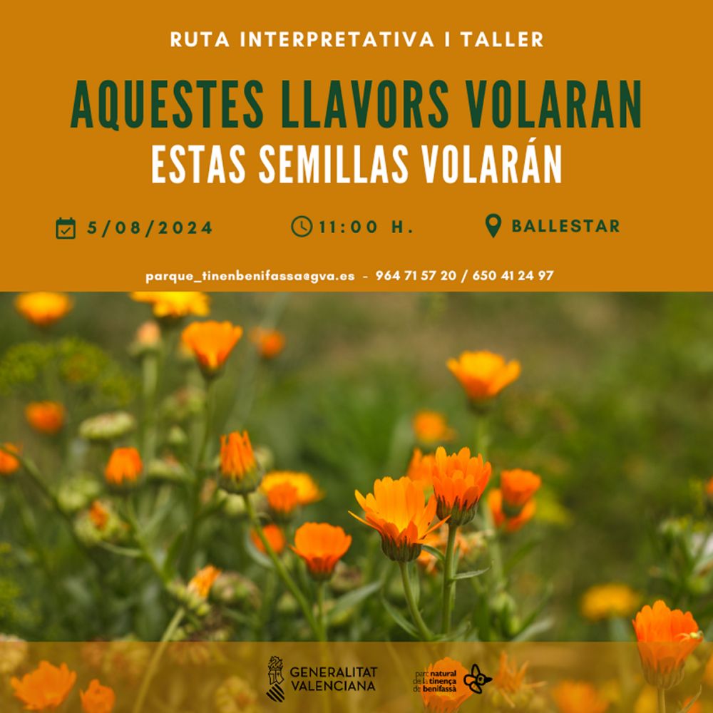 Ruta interpretativa i taller: «Aquestes llavors volaran» Ruta interpretativa i taller: «Aquestes llavors volaran»