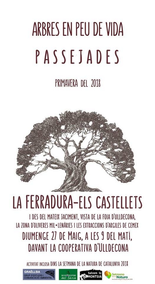 Arbres en peu de vida. Passejades. Setmana de la Natura Arbres en peu de vida. Passejades. Setmana de la Natura