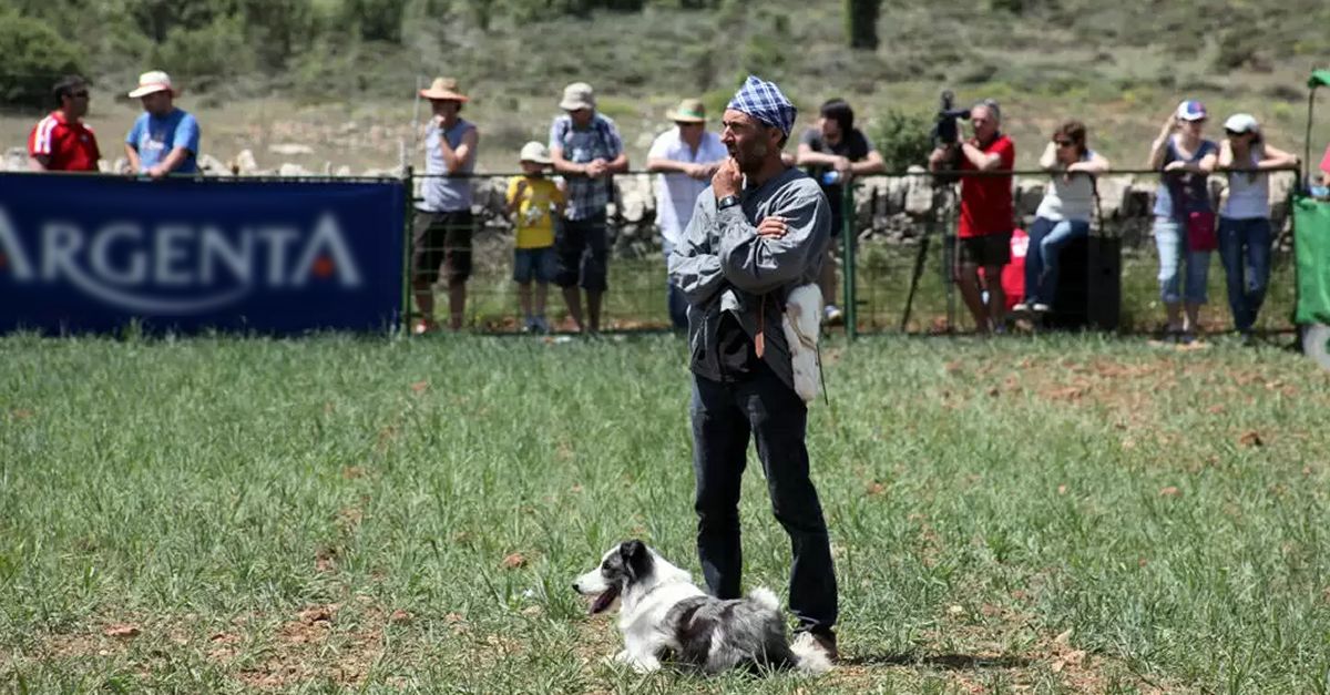 Els gossos de rabera dAres i la Rogativa a Sant Joan de Culla copen els focus del cap de setmana al territori Human Land