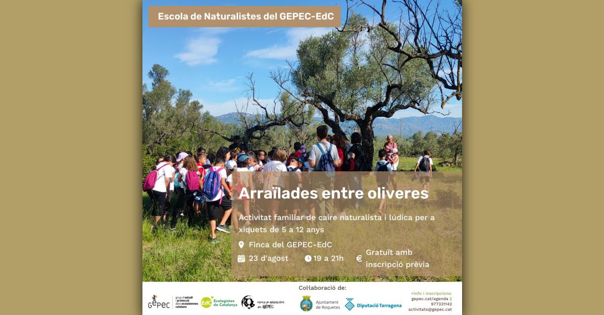 Arra�lades entre oliveres