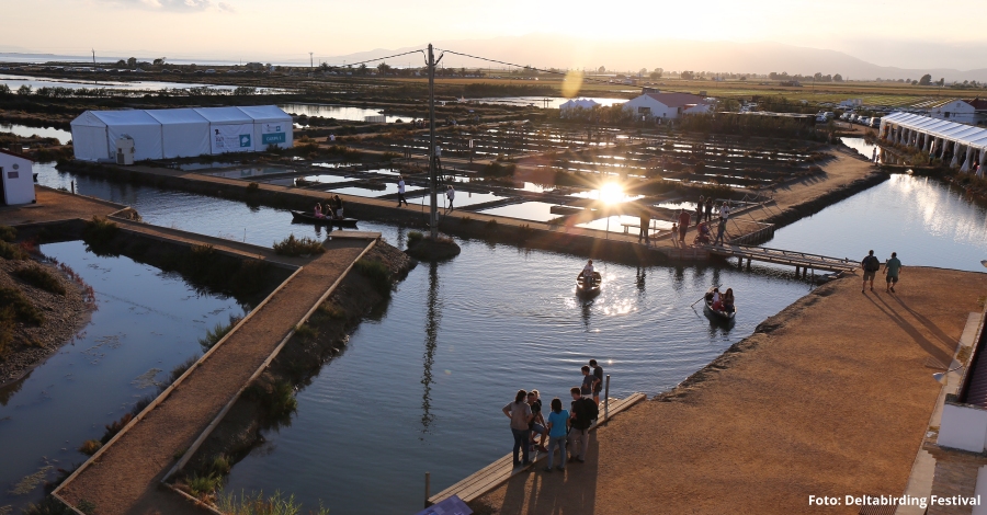 Arriba la 5a edici� del Delta Birding Festival, l&rsquo;�nic festival d&rsquo;ornitologia de Catalunya | EbreActiu.cat, revista digital d&rsquo;oci actiu | Terres de l&rsquo;Ebre ...