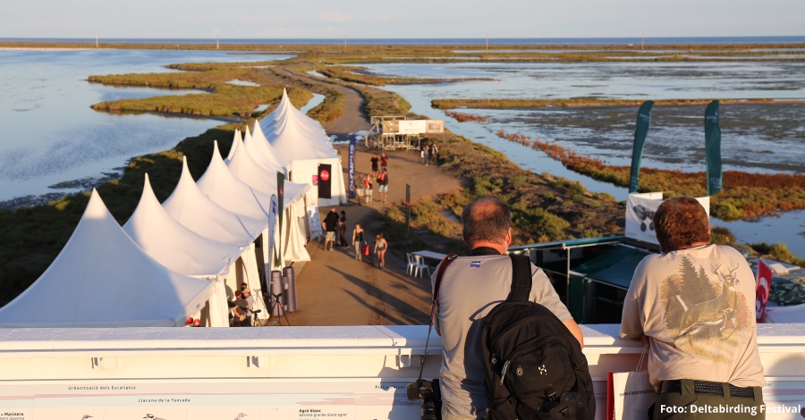 Arriba la 5a edici del Delta Birding Festival, lnic festival dornitologia de Catalunya