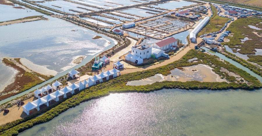 Arriba una nova edici del Delta Birding Festival, la fira ornitolgica ms important del Mediterrani
