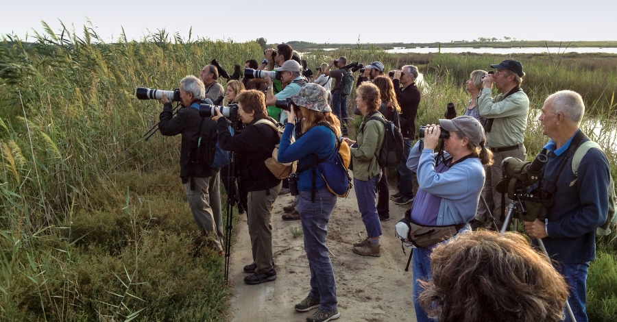 Llega una nueva edici�n del Delta Birding Festival, la fira ornitol�gica m�s importante del Mediterranio | EbreActiu.cat, revista digital de ocio activo | Terres de l&rsquo;Ebre...