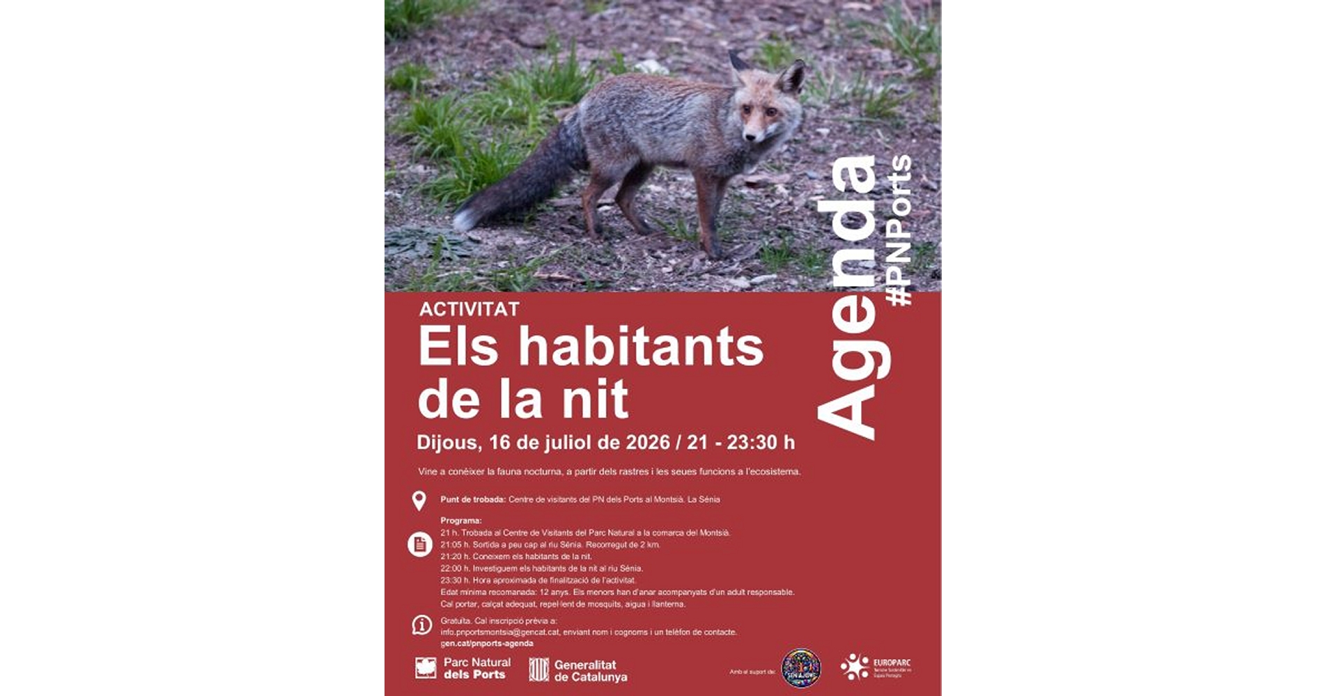 Activitat �els habitants de la nit�