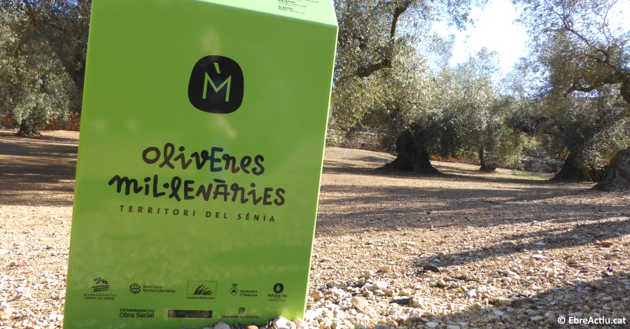 Augment significatiu de les visites als actius naturals i patrimonials d�Ulldecona durant la Setmana Santa