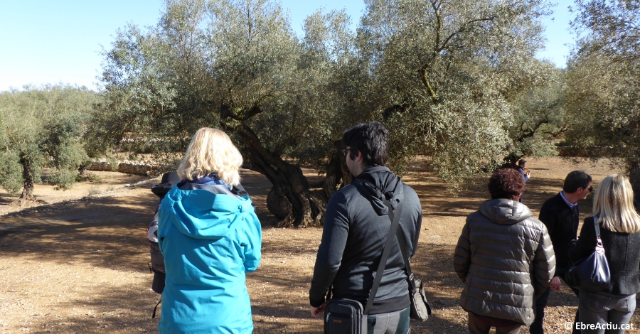 Augment significatiu de les visites als actius naturals i patrimonials d&rsquo;Ulldecona durant la Setmana Santa | EbreActiu.cat, revista digital d&rsquo;oci actiu | Terres de l&rsquo;Ebre ...