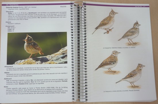 «Aus del Port», de Juan Antonio Muyas Bercet | EbreActiu.cat, revista digital d’oci actiu | Terres de l’Ebre ... «Aus del Port», de Juan Antonio Muyas Bercet | EbreActiu.cat, revista digital d’oci actiu | Terres de l’Ebre ...