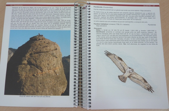 �Aus del Port�, de Juan Antonio Muyas Bercet | EbreActiu.cat, revista digital d&rsquo;oci actiu | Terres de l&rsquo;Ebre ...
