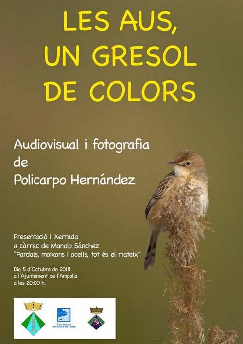 Les aus, un gresol de colors Les aus, un gresol de colors