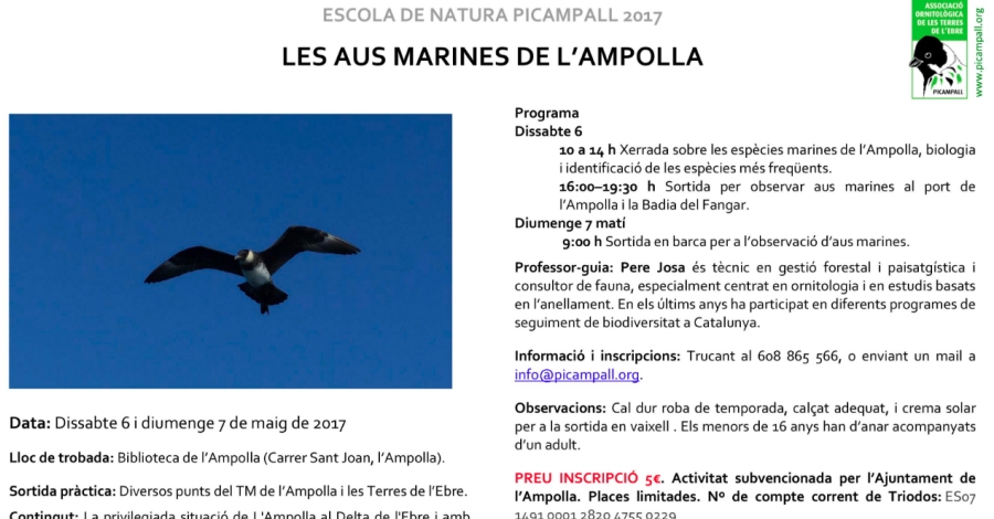 Les aus marines de l’Ampolla Les aus marines de l’Ampolla