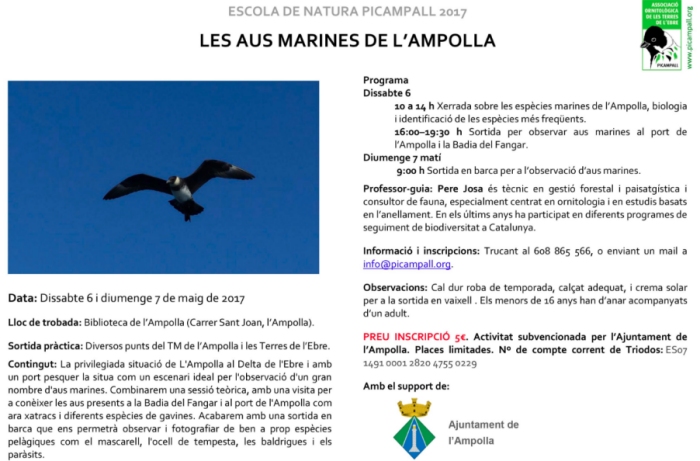 Les aus marines de l’Ampolla Les aus marines de l’Ampolla