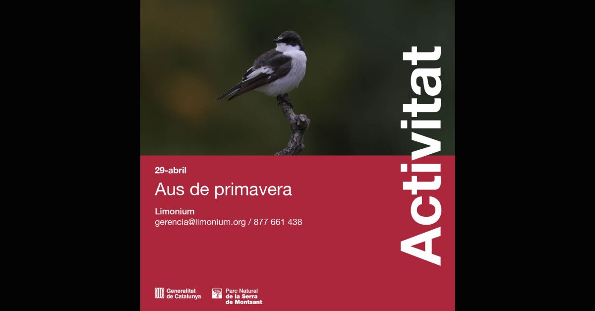 Salida gratuita de observaci�n de p�jaros en Cabac�s