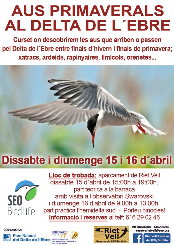 Curs �aus primaverals al delta de l�Ebre�
