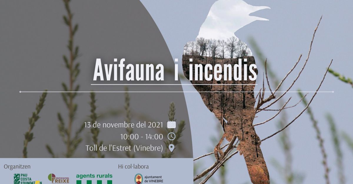 Jornada de anillamiento cient�fico: Avifauna y incendios