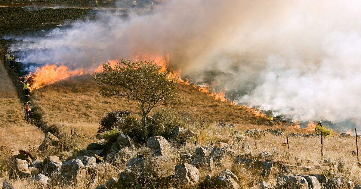 Avui comena la prohibici de fer foc al bosc
