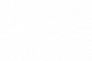 Amposta.info, el digital de la ciutat des de 1998...