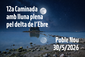 12a Caminada amb lluna plena pel delta de l�Ebre 30/5/2026...