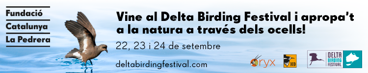 Vine al Delta Birding Festival i apropa’t a la natura a travs dels ocells