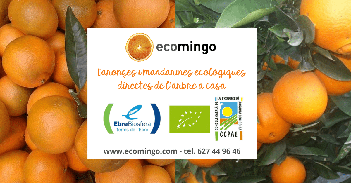 Les Jornades Citr�coles d&rsquo;Alcanar s&rsquo;adapten a la situaci� generada per la covid-19 | EbreActiu.cat, revista digital d&rsquo;oci actiu | Terres de l&rsquo;Ebre ...